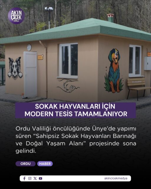 Ünye Belediyesi tarafından yapımı tamamlanan “Can Dostlar Mavi-Yeşil Doğal Yaşam Alanı”, düzenlenen programla tanıtıldı. Ünye Belediye Başkanı Hüseyin Tavlı, meclis üyeleri ve basın mensuplarıyla birlikte tesiste incelemelerde bulundu.

Toplam 5 bin 500 metrekarelik alanda kurulan tesiste 150 köpek ve 60 kedi için özel yaşam alanları oluşturuldu. Alanların, hayvanların yaş ve durumlarına göre planlandığını belirten Tavlı, sokak hayvanlarına güvenli ve sağlıklı bir ortam sunulduğunu ifade etti.