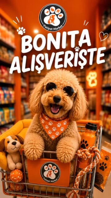 🐶🧡 BONITA ALIŞVERİŞTE!
Yaz geldi, ben de yazlık alışverişimi yapmak için Patipet Market’e uğradım! 😎☀️

Kendime havalı bir gözlük seçtim, oyuncakları inceledim, en sevdiğim mamalara baktım ve tabii ki yeni aksesuarlarımı da unutmadım. 🦴🎾🥣

Birbirinden renkli ürünler arasında gezinirken alışverişin keyfini doyasıya çıkardım! 🐾

🐕🐈 Kuşunuz, kediniz, köpeğiniz ya da diğer dostlarınız için aradığınız her şey Patipet Market’te!

Patili dostlarınız için ihtiyaç duyduğunuz her şey tek adreste! 🧡

#İşbirliği